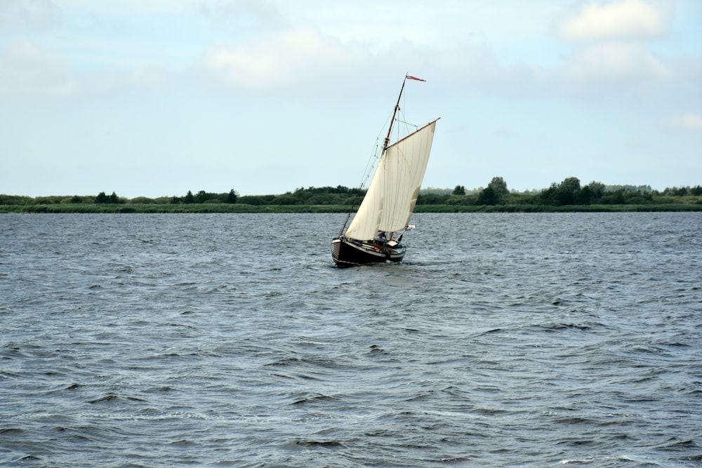 ein Segelboot auf dem Wasser
