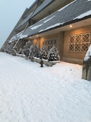 Snow-covered condo entrance with cleared pathways and tidy surroundings.