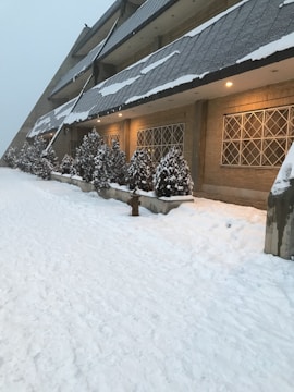 Snow-covered condo entrance with cleared pathways and tidy surroundings.