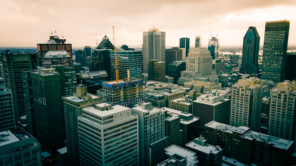 a city with many tall buildings