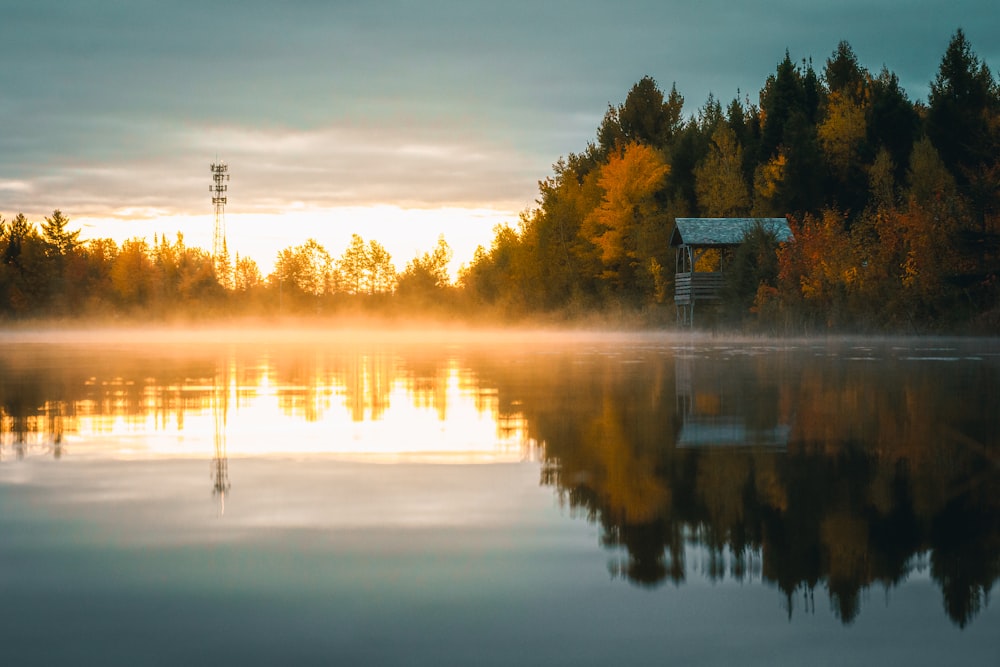 a lake with trees around it