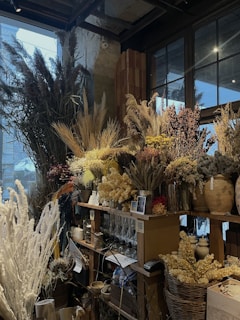 A cozy shop filled with an assortment of dried flowers and natural decor items. Tall bundles of pampas grass and dried flowers are artfully arranged on shelves and in vases. The setting includes a mix of earthy tones, creating a warm and inviting atmosphere under the soft natural light streaming through large windows.