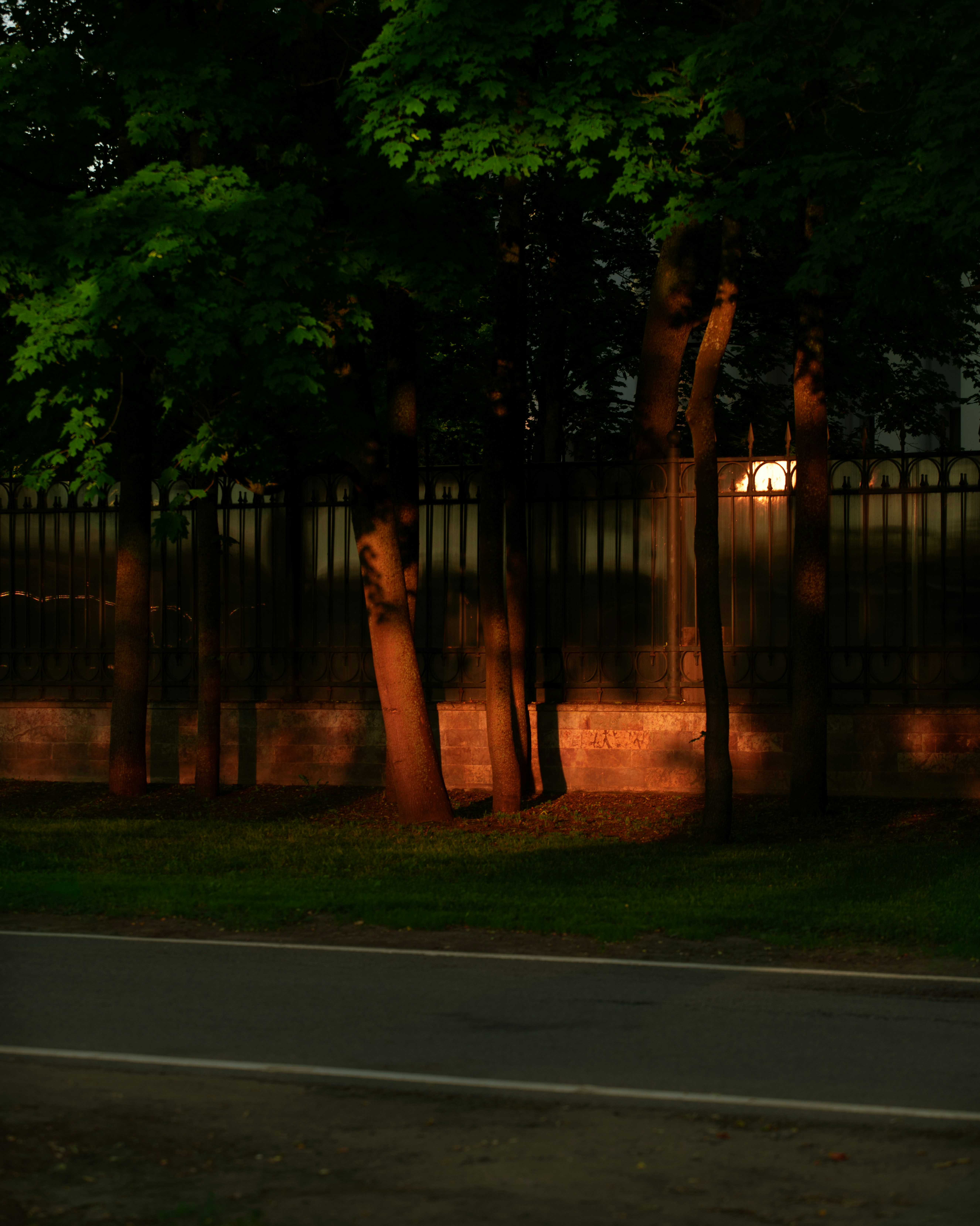 Photo by fokin_k
