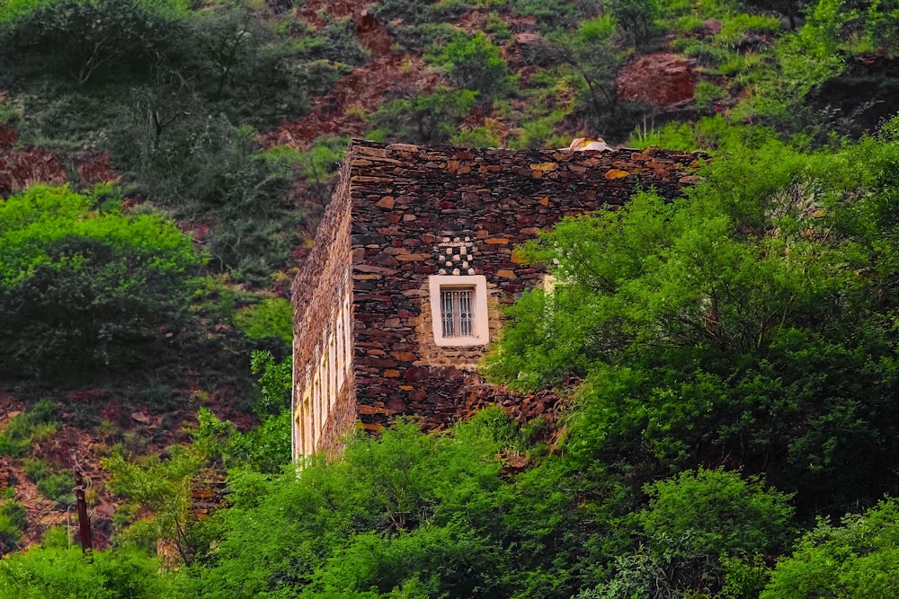 a house in the middle of a forest