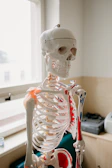 Therapist explaining exercise techniques to a smiling patient using a model skeleton.