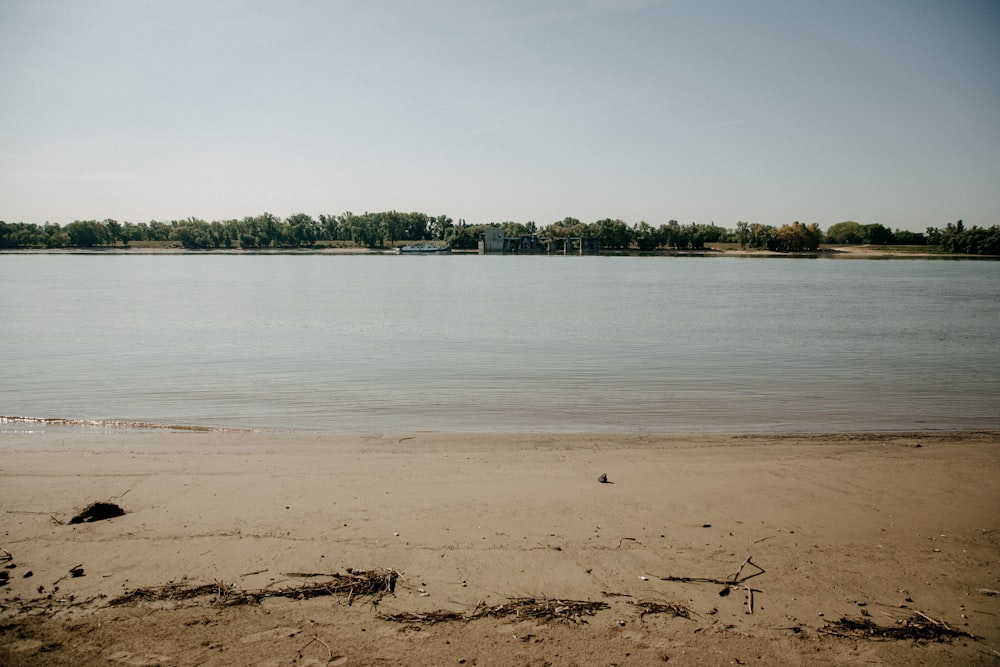 a beach with trees in the background