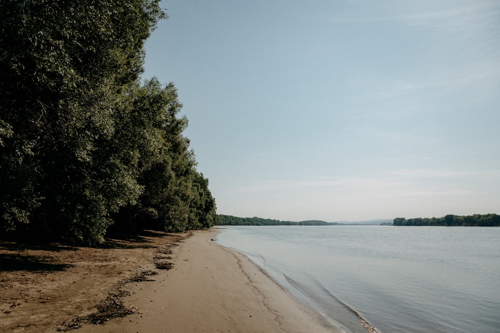 a dirt road next to a body of water