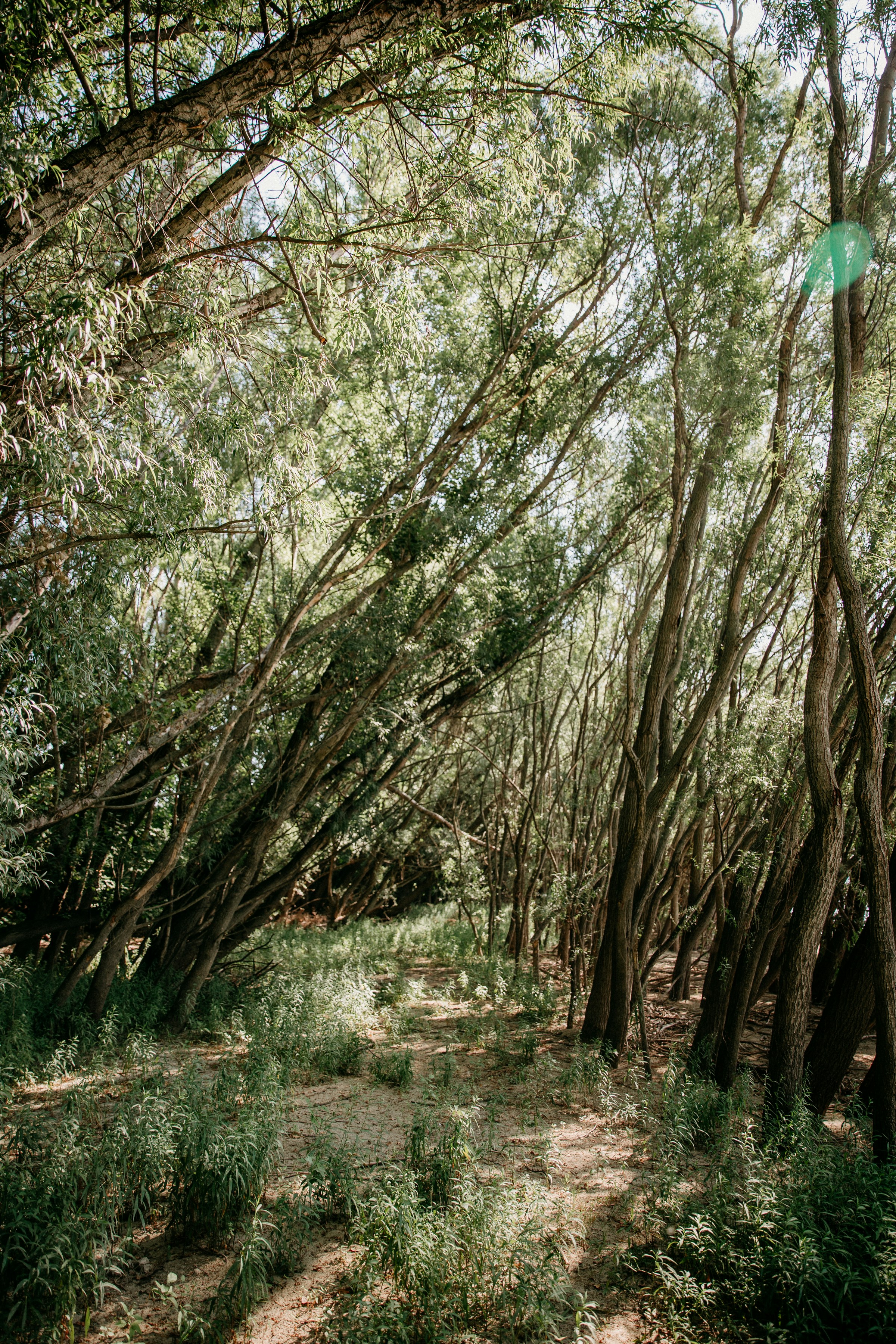 Photo by trnavskauni