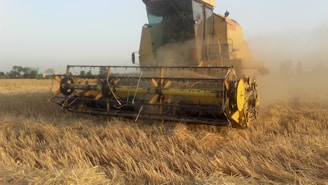 A large yellow combine harvester is actively threshing crops in a field. Dust is being kicked up around the machine, indicating the dry conditions and the ongoing harvesting process. The sky is clear with a faint hint of clouds in the background.