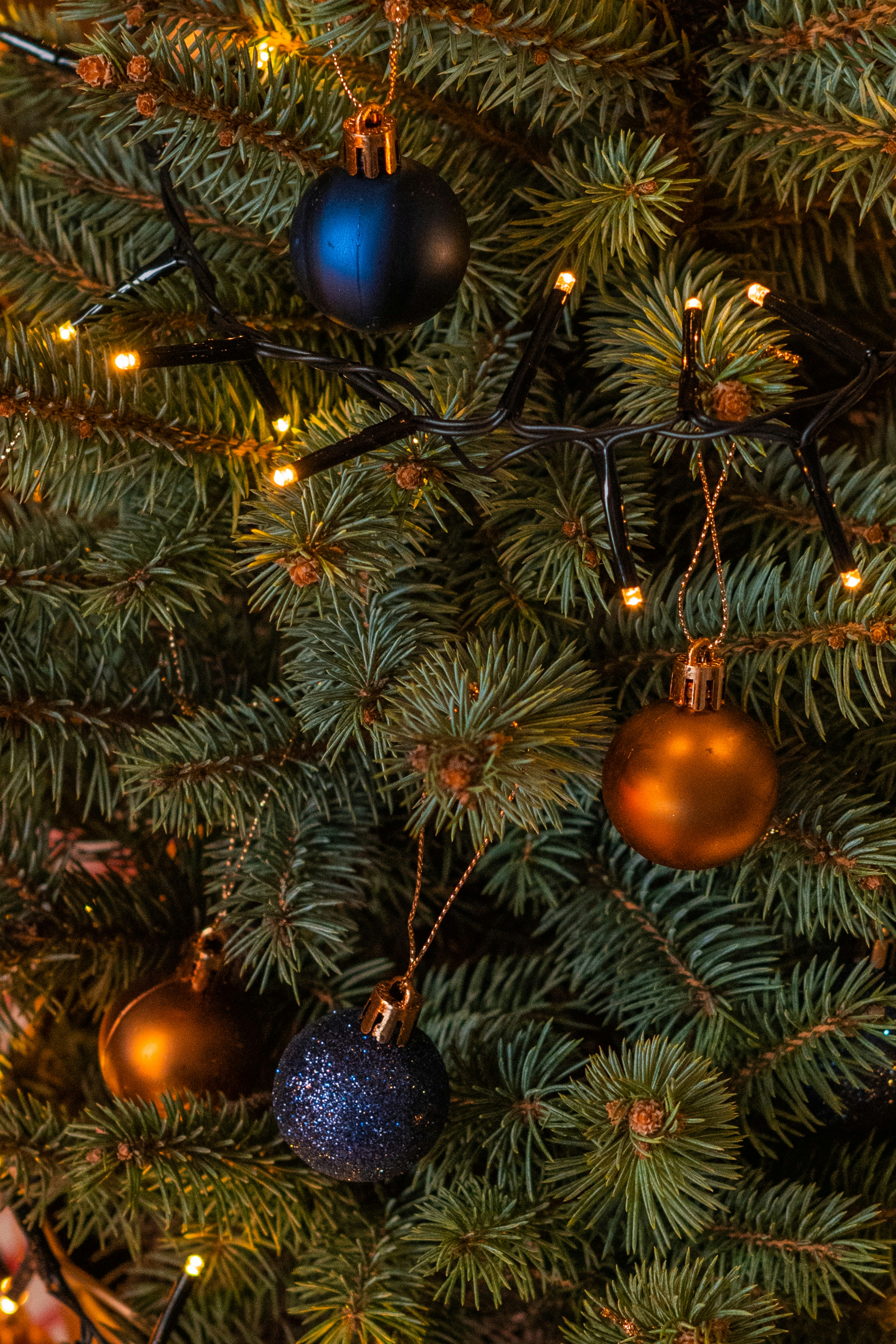 Photo by anitaaustvika