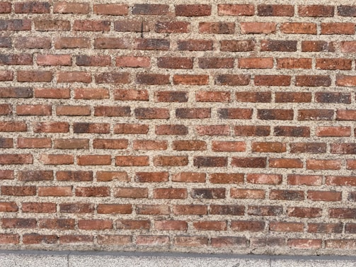 Rows of sun-dried bricks laid out in the open air, highlighting the natural clay color and consistency.