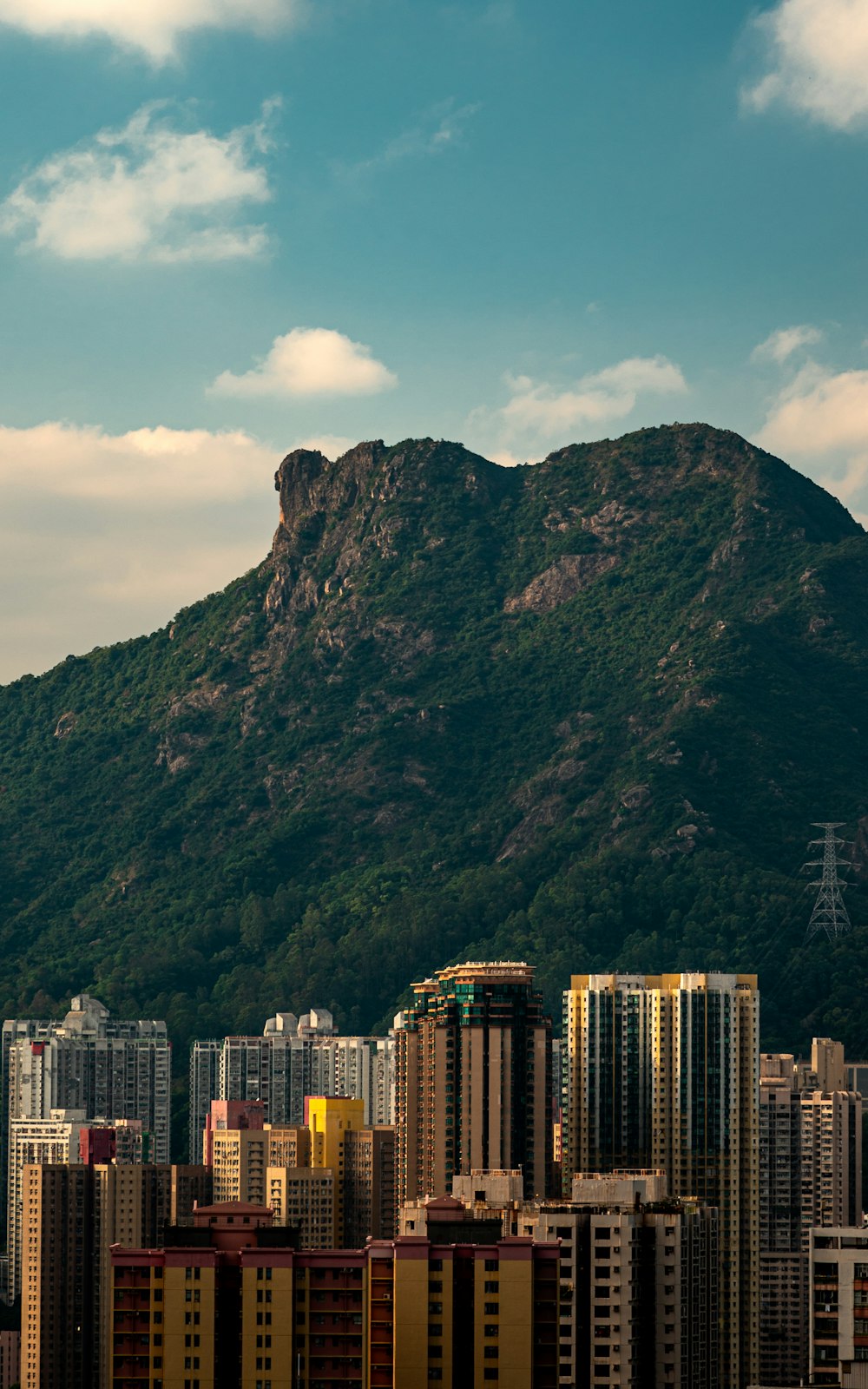 a city with a large mountain in the background