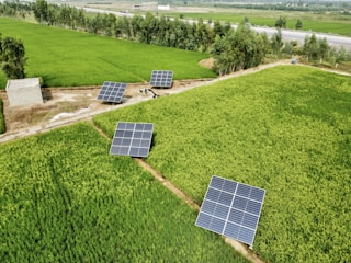 solar panels on a field