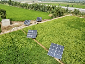 solar panels on a field