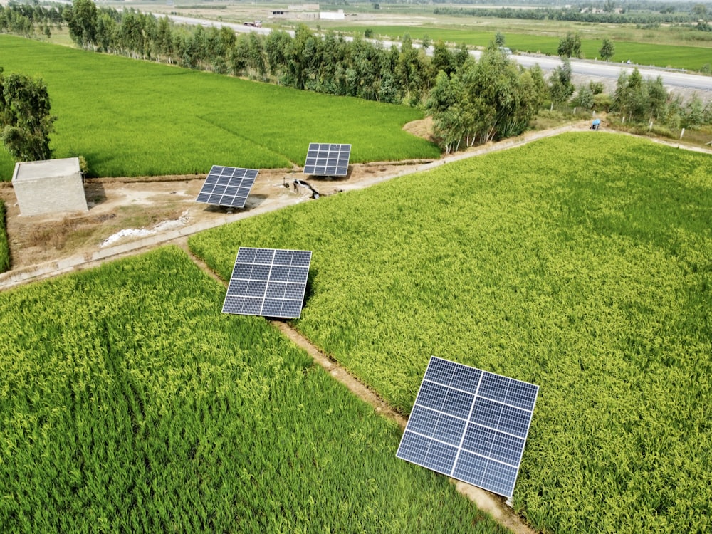 Paneles solares en un campo