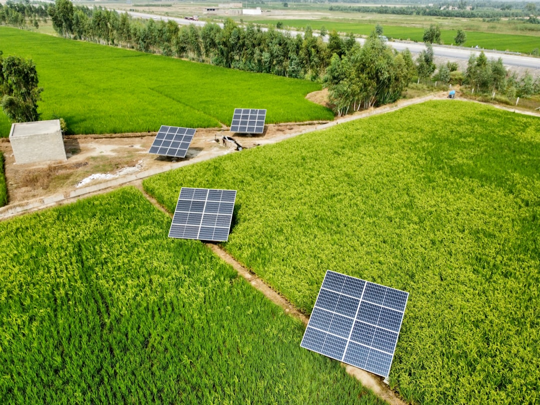 renewable energy solar farm - most cost effective renewable energy renewable energy solar farm - most cost effective renewable energy