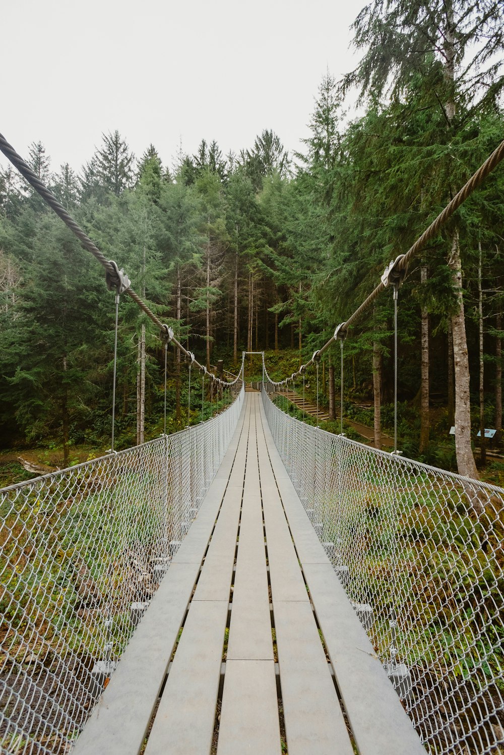 a long fenced off walkway