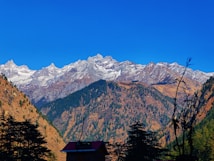 Snow-capped mountains rise majestically against a clear blue sky, with dense pine forests covering the foothills. The foreground features a silhouette of tree branches and a building with a red roof labeled as a hotel.