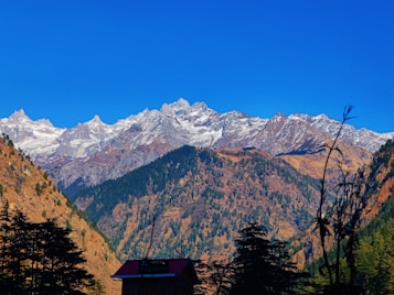 Snow-capped mountains rise majestically against a clear blue sky, with dense pine forests covering the foothills. The foreground features a silhouette of tree branches and a building with a red roof labeled as a hotel.