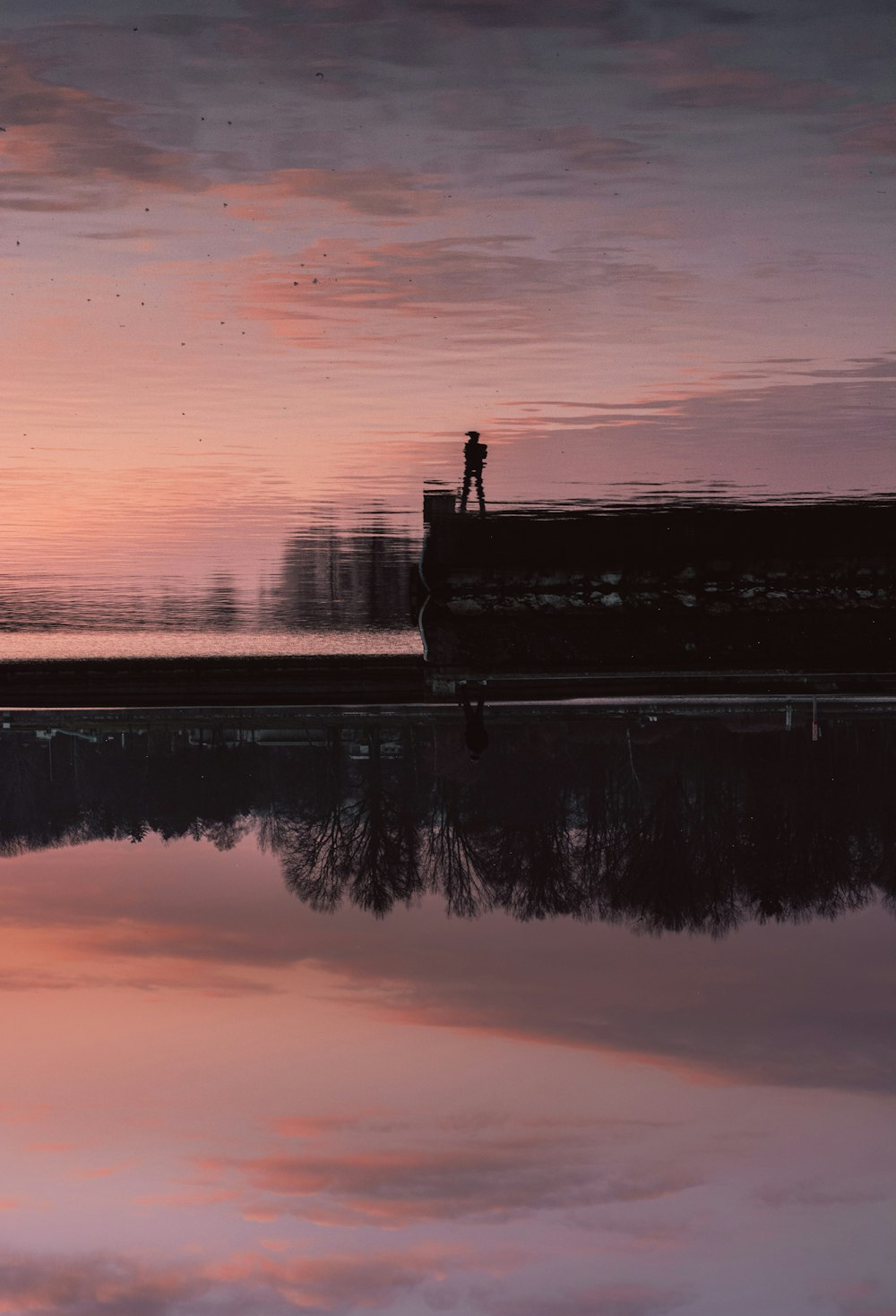 a person standing on a dock