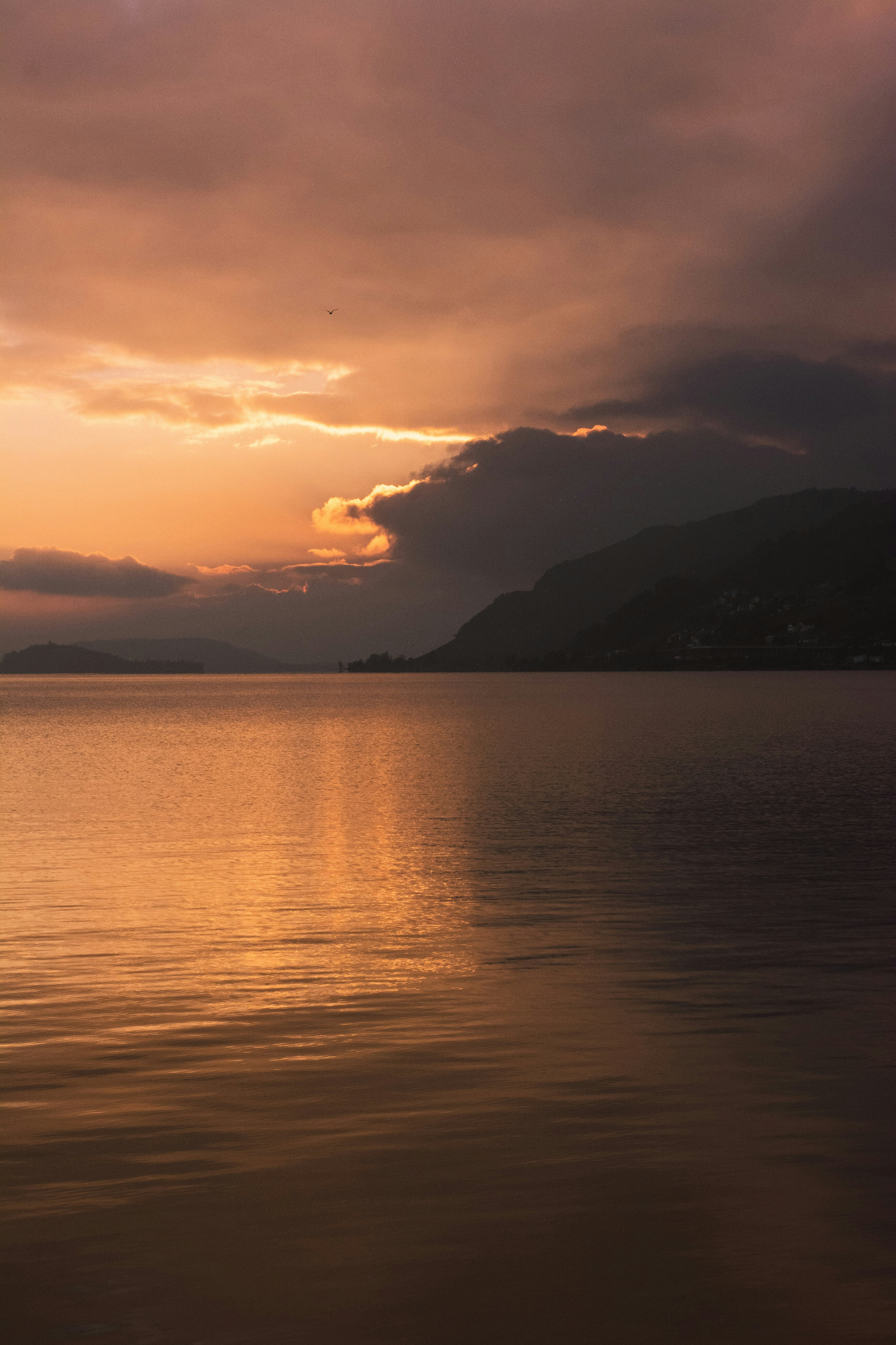 Photo by miguel_ind0