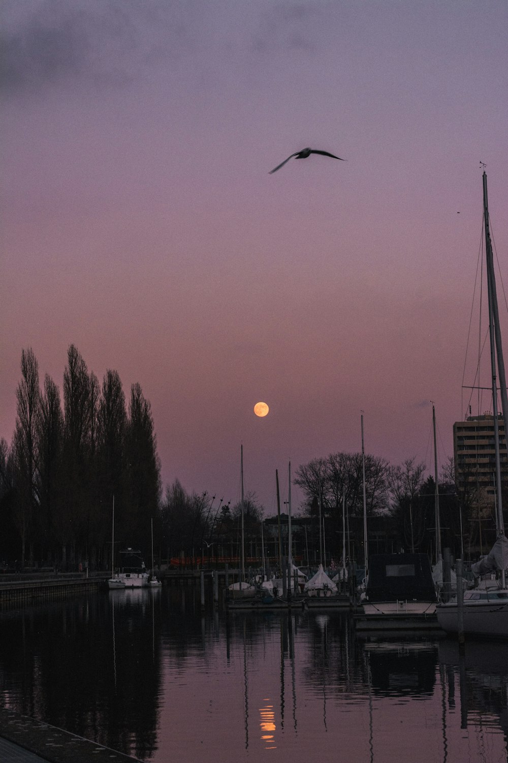 a bird flying over a body of water with boats and trees in the background