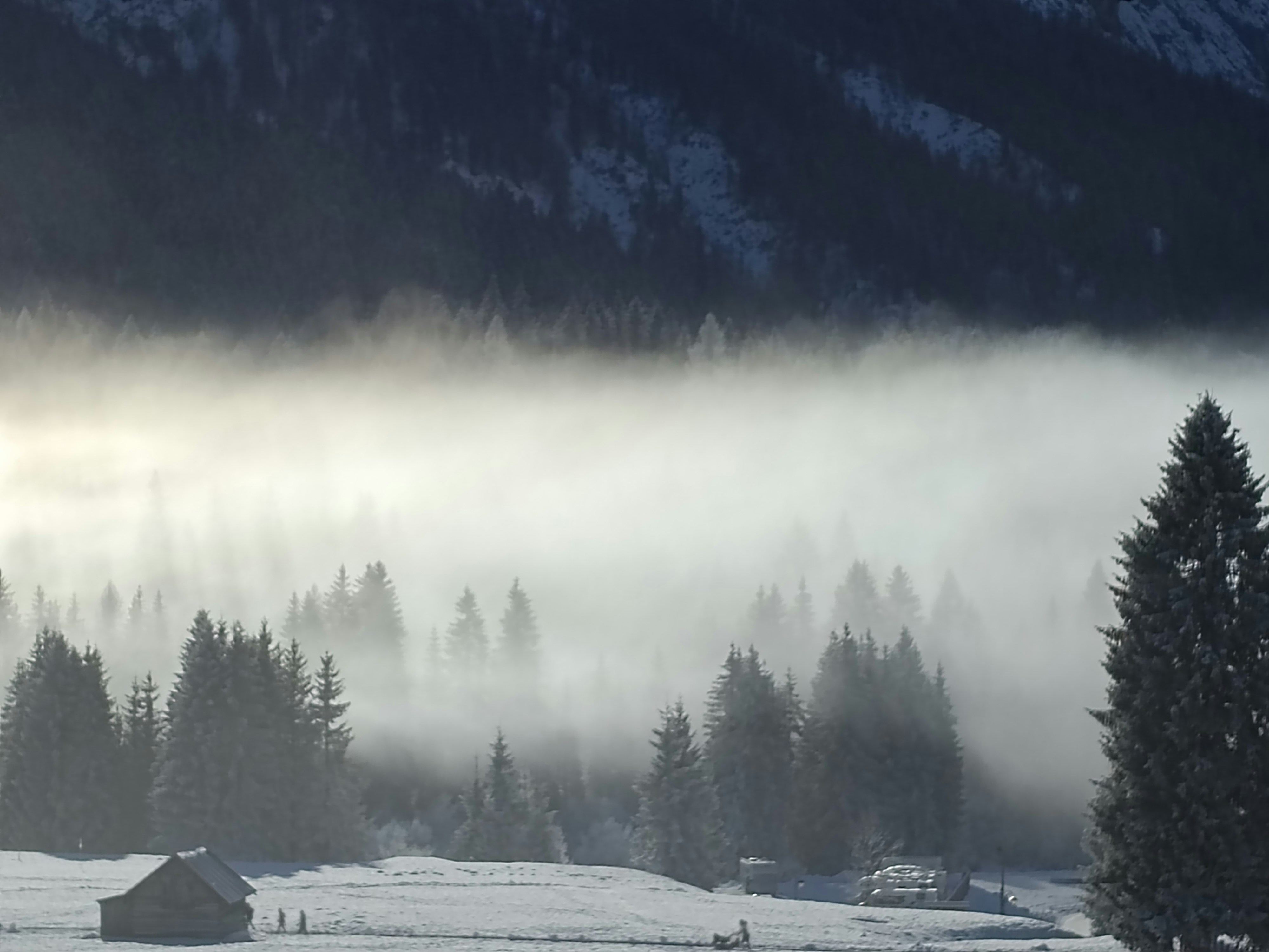 Photo by gopitri_prem