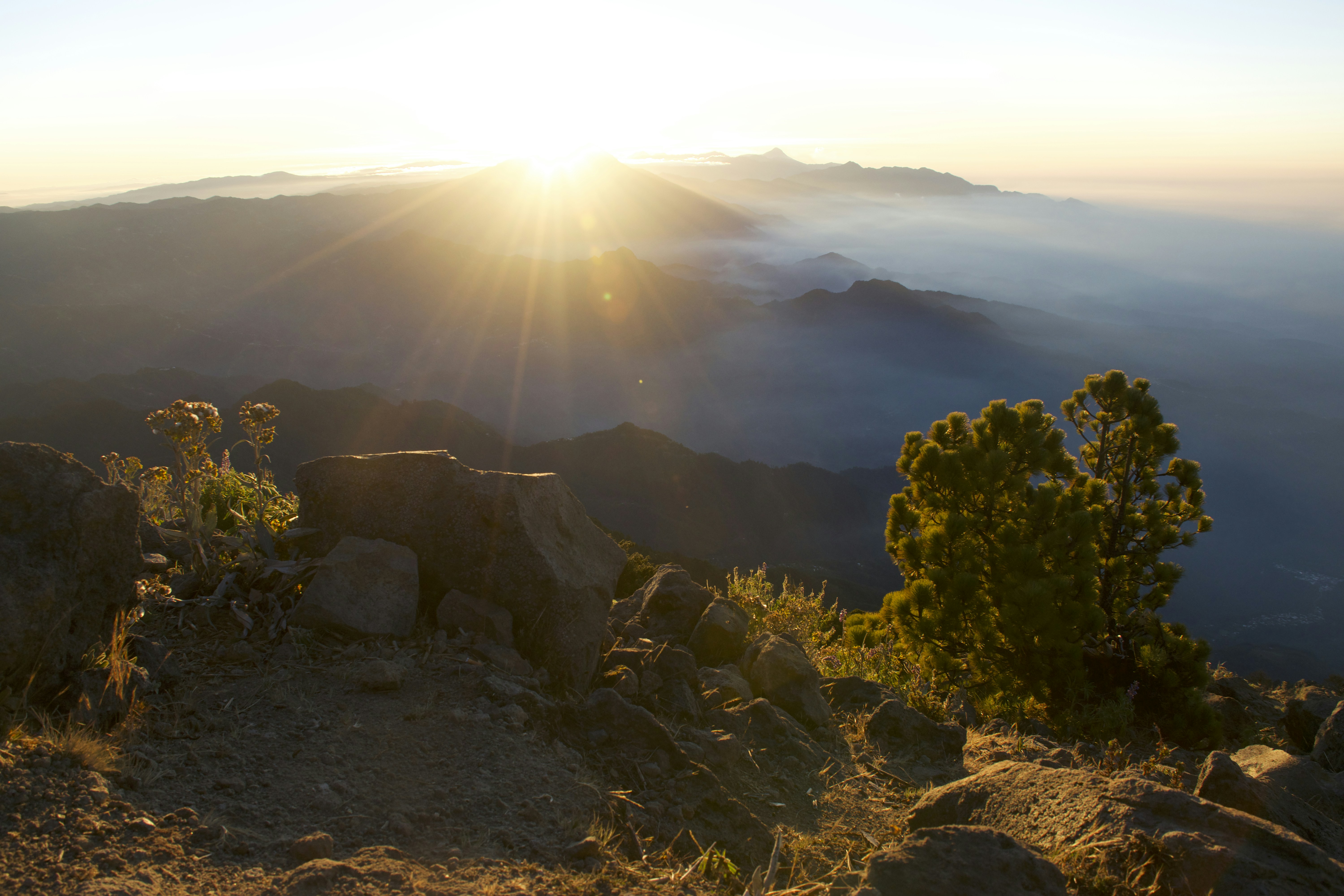 a rocky area with trees and a bright sun