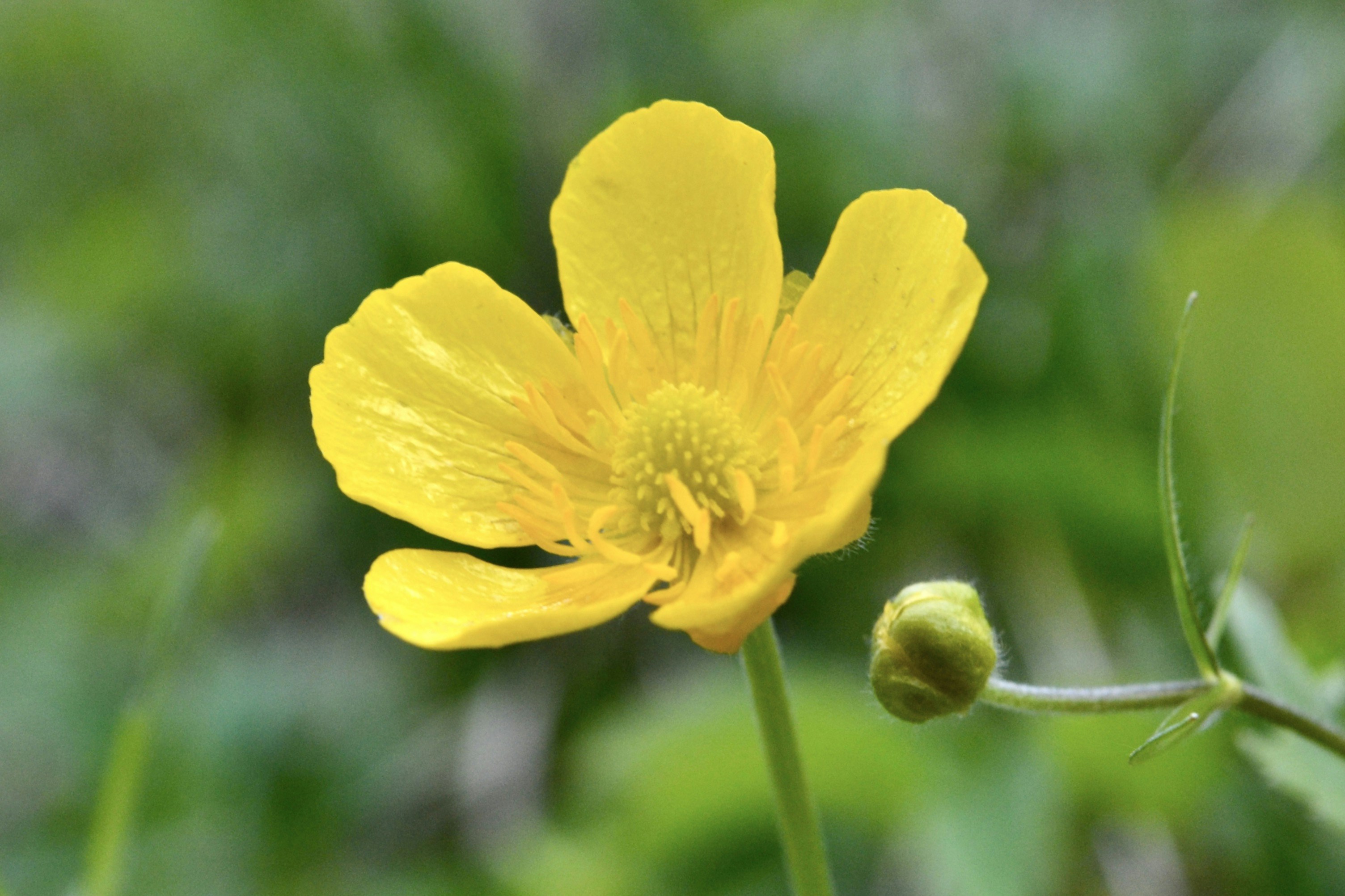 Photo by evgenslavin