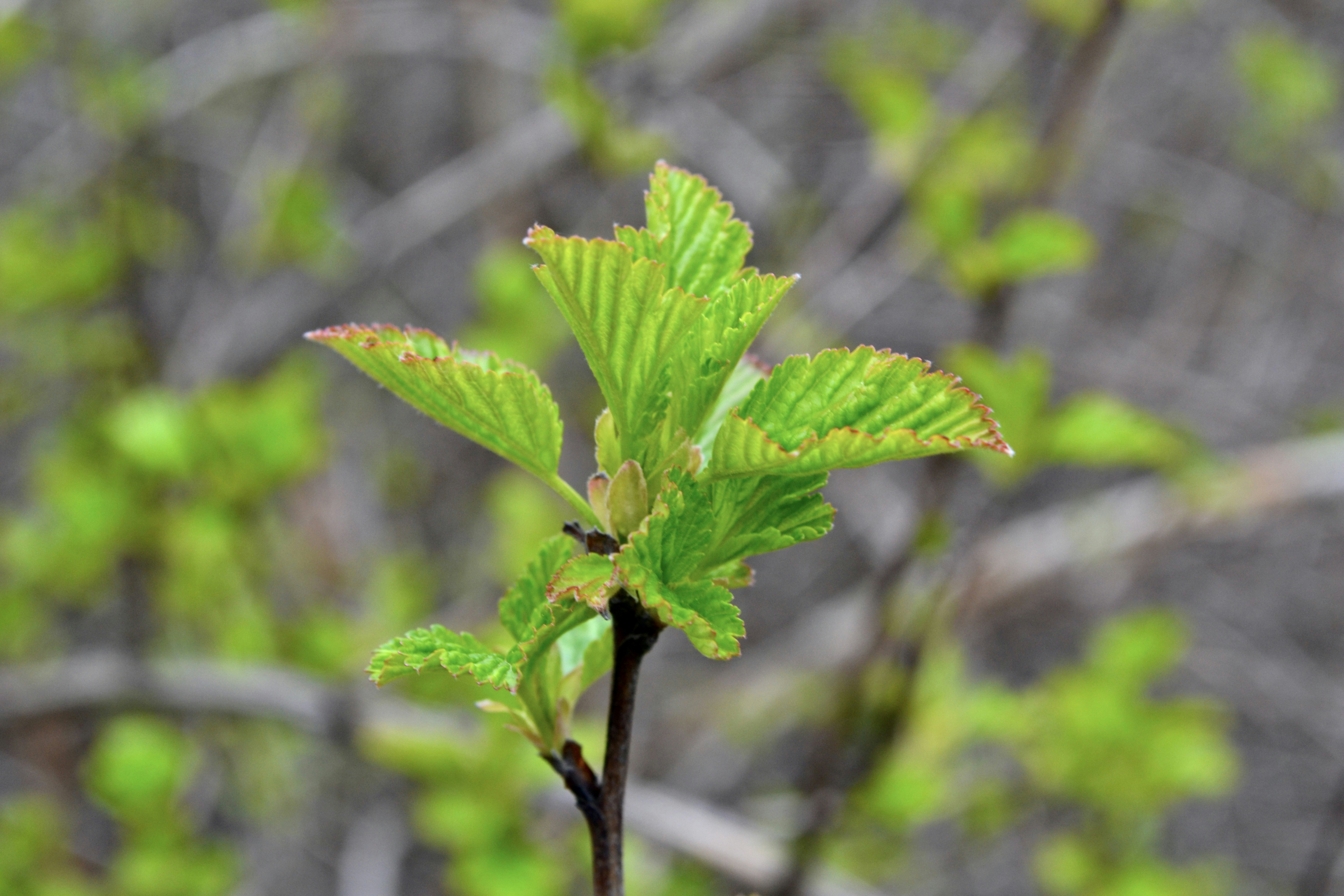 Photo by evgenslavin