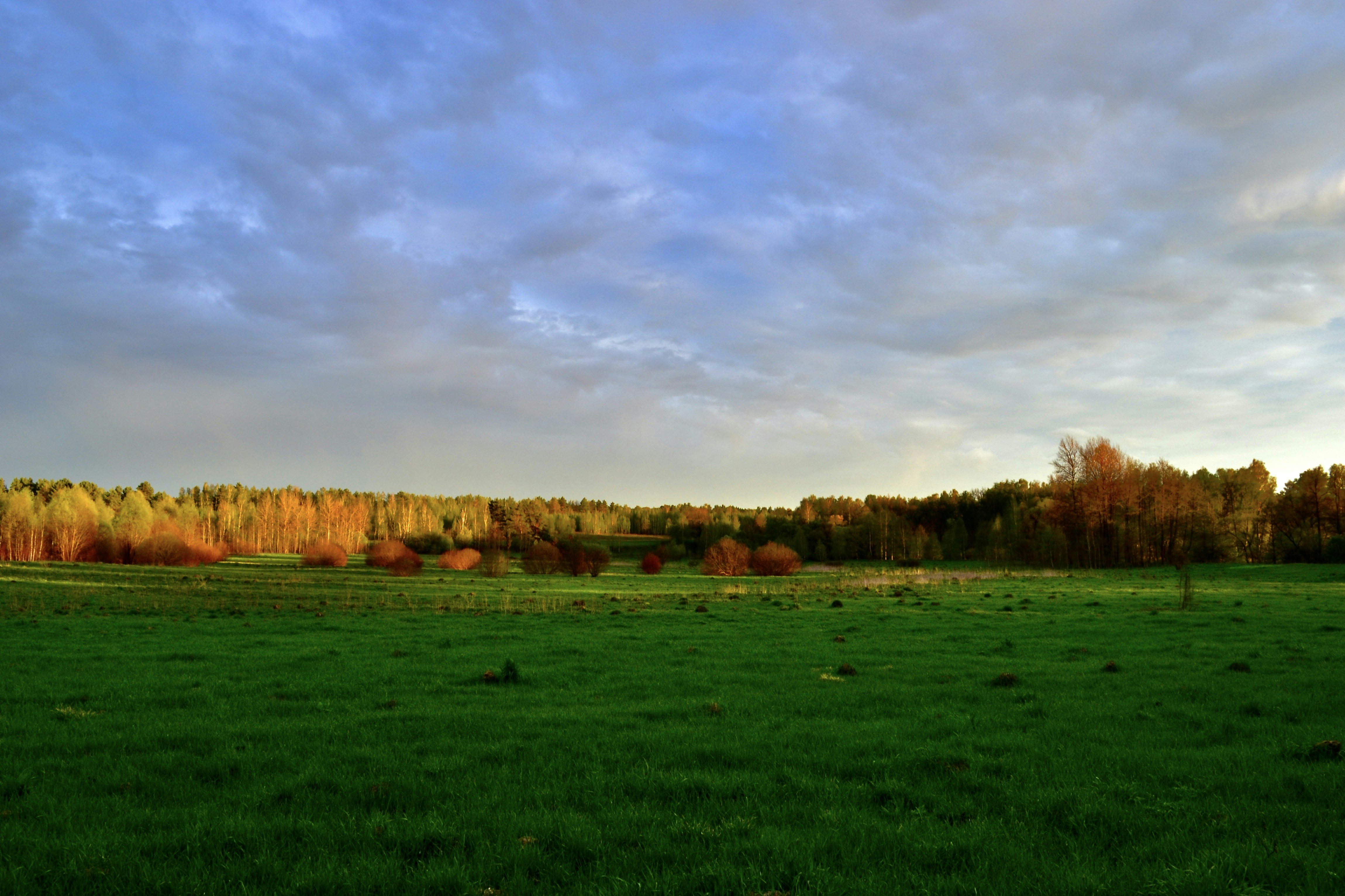 Photo by evgenslavin