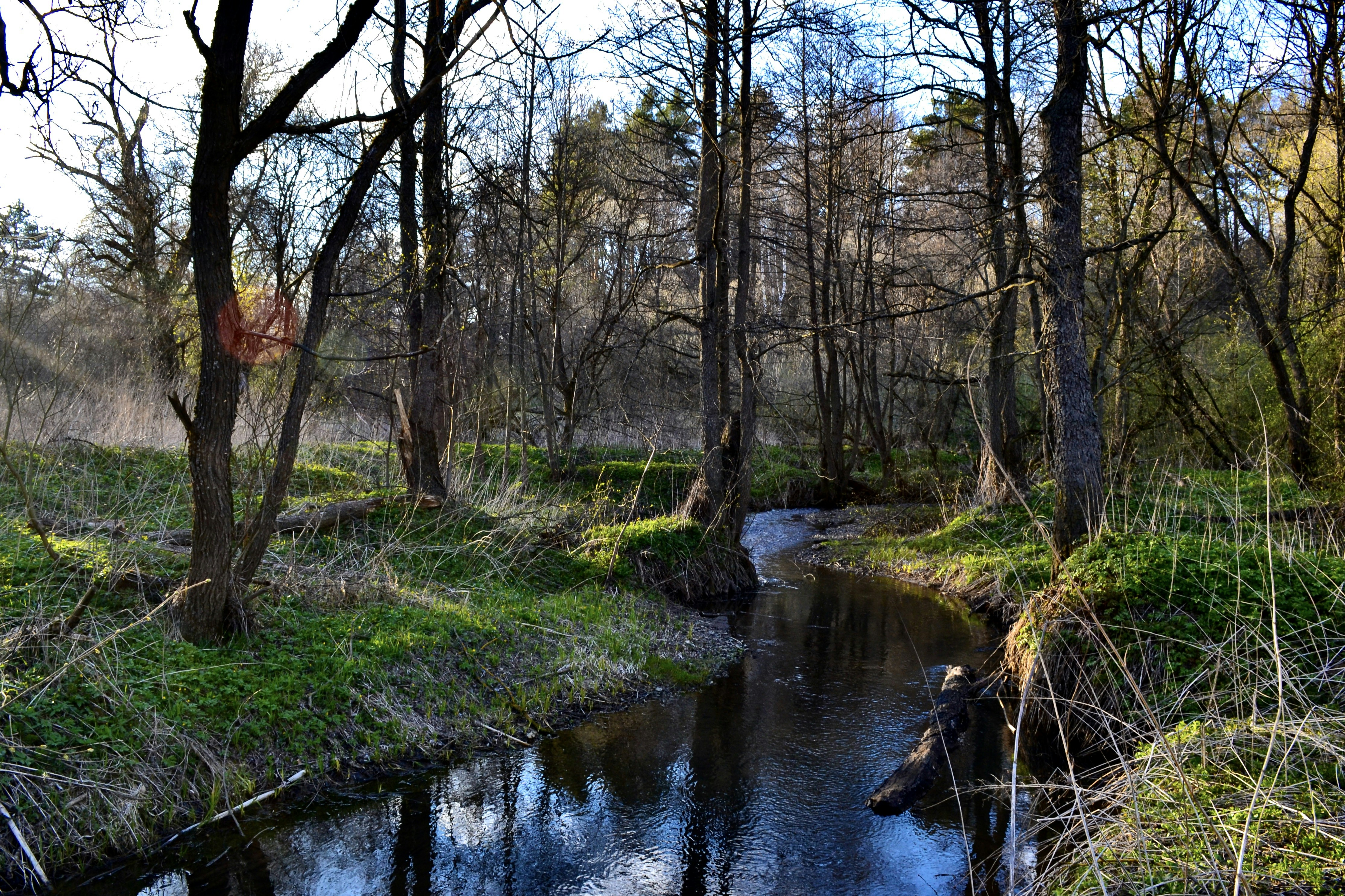 Photo by evgenslavin