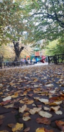 A family enjoying a fall day in a colorful park, surrounded by autumn leaves.