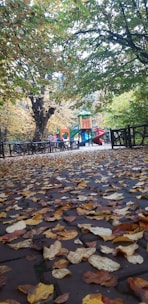 A family enjoying a fall day in a colorful park, surrounded by autumn leaves.