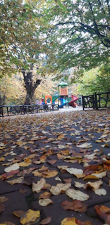 A seasonal activity page with autumn-themed puzzles and coloring sections.