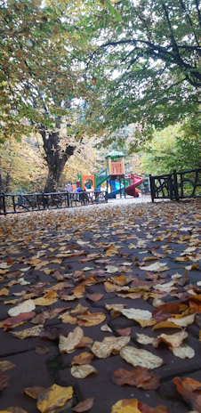 A seasonal activity page with autumn-themed puzzles and coloring sections.