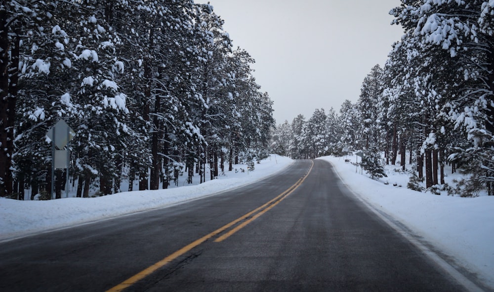 a road with snow on the side