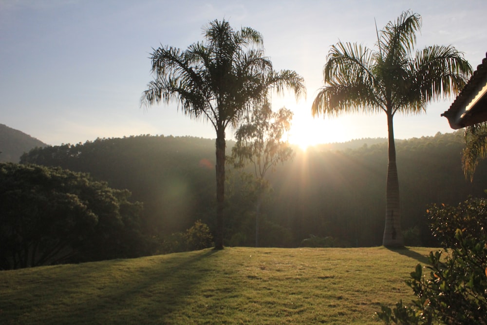 a grassy area with trees and a body of water in the background