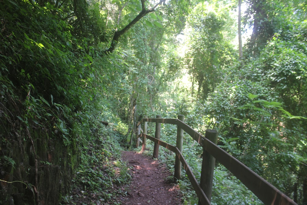 a wooden bridge in the woods