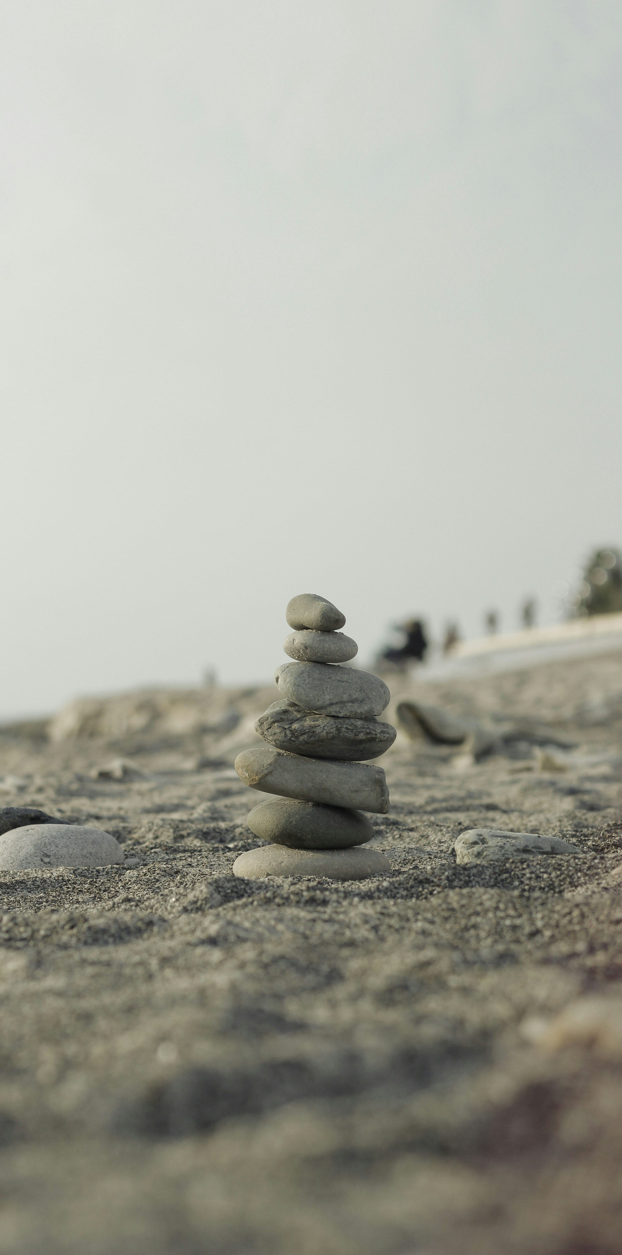 Photo by notoriety_8