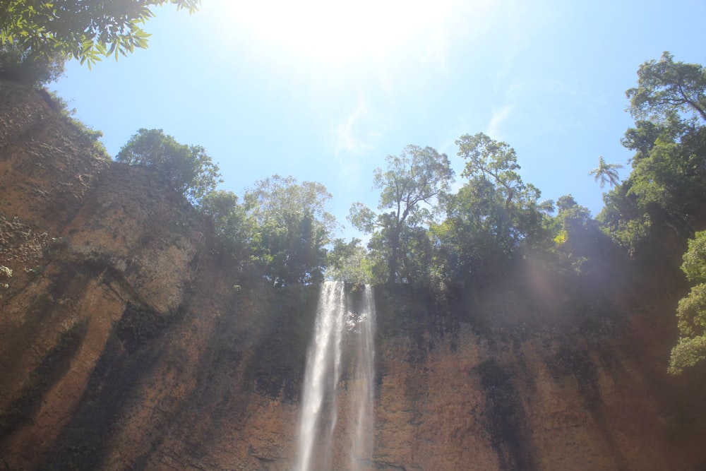 a waterfall in a forest