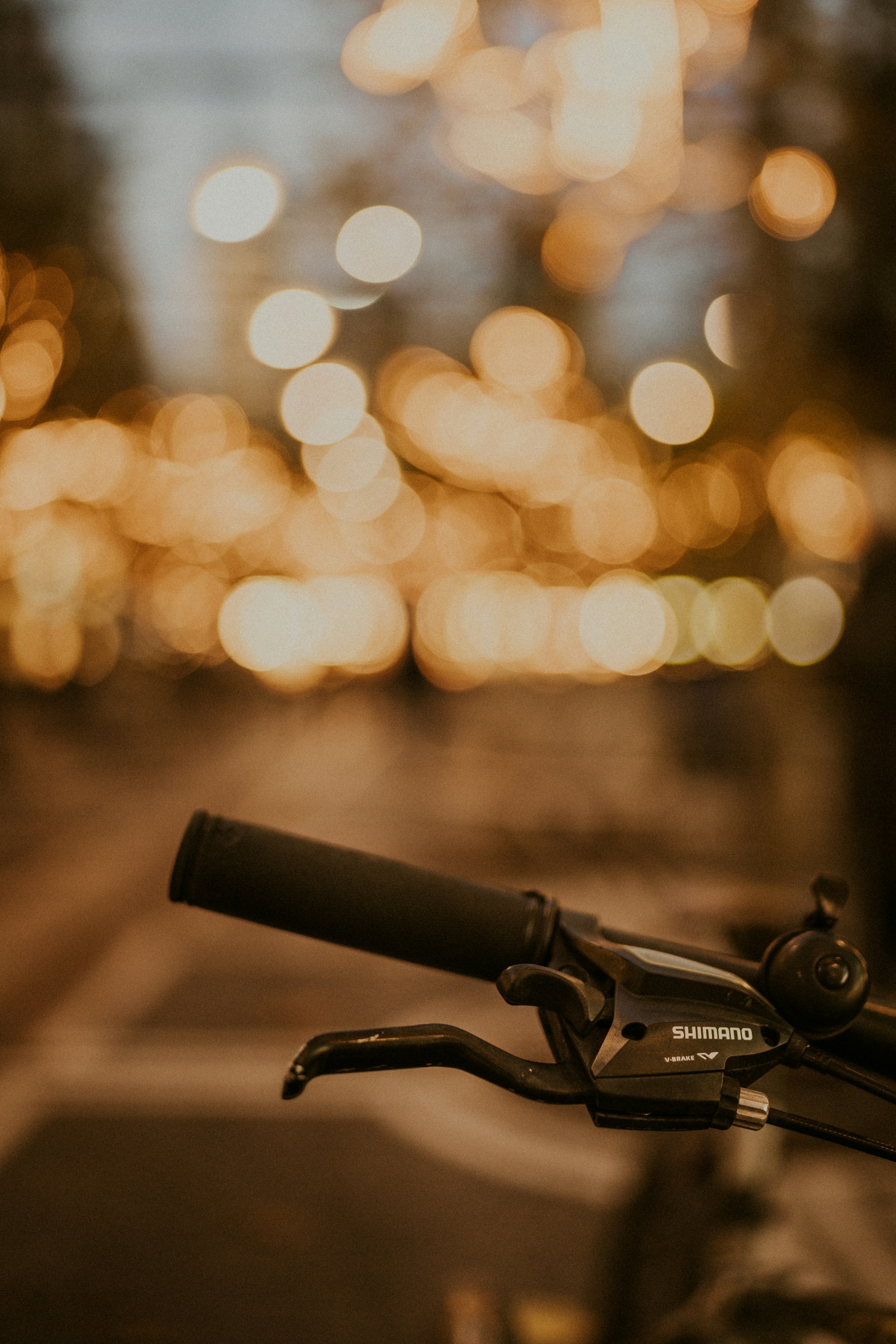 Photo by masoodaslami