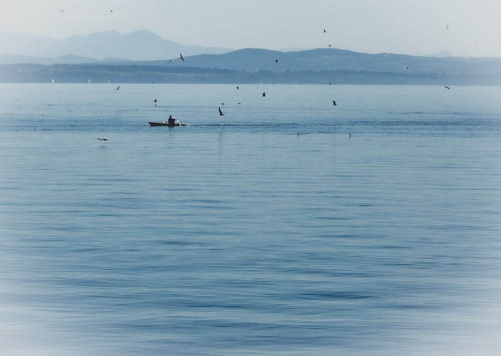 a boat in the water with birds flying around
