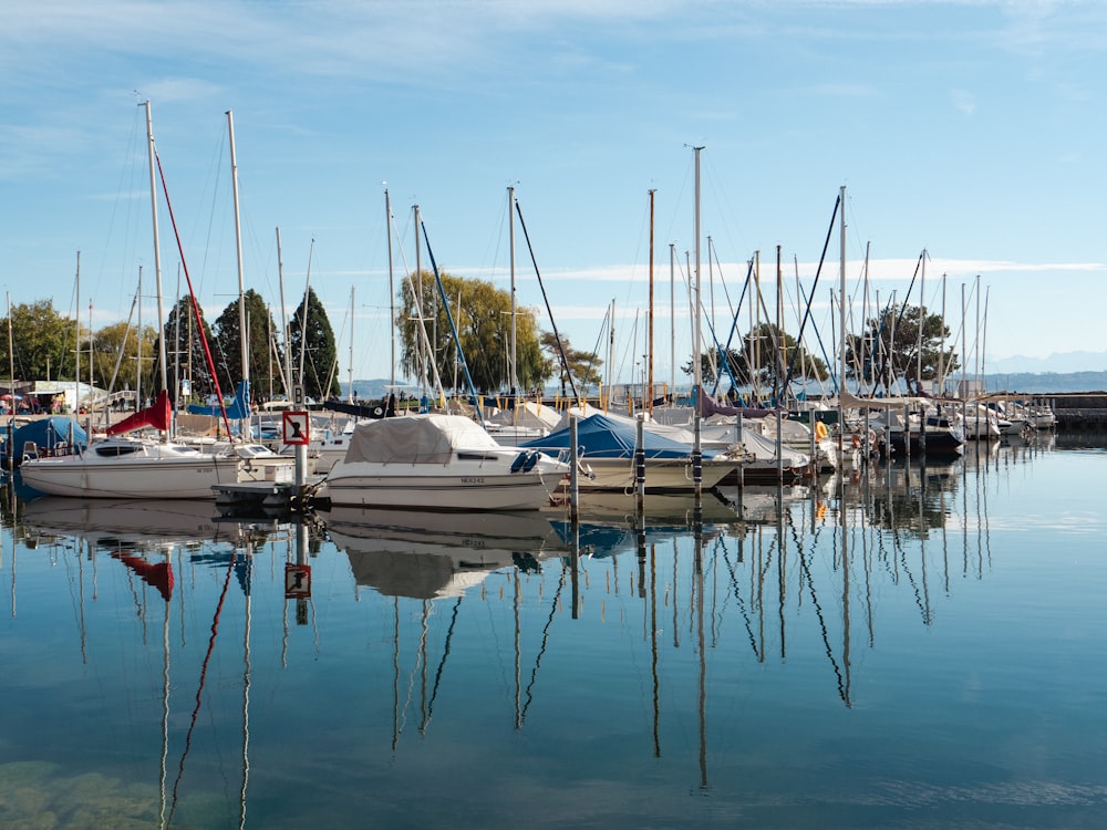 a group of boats sit in a harbor