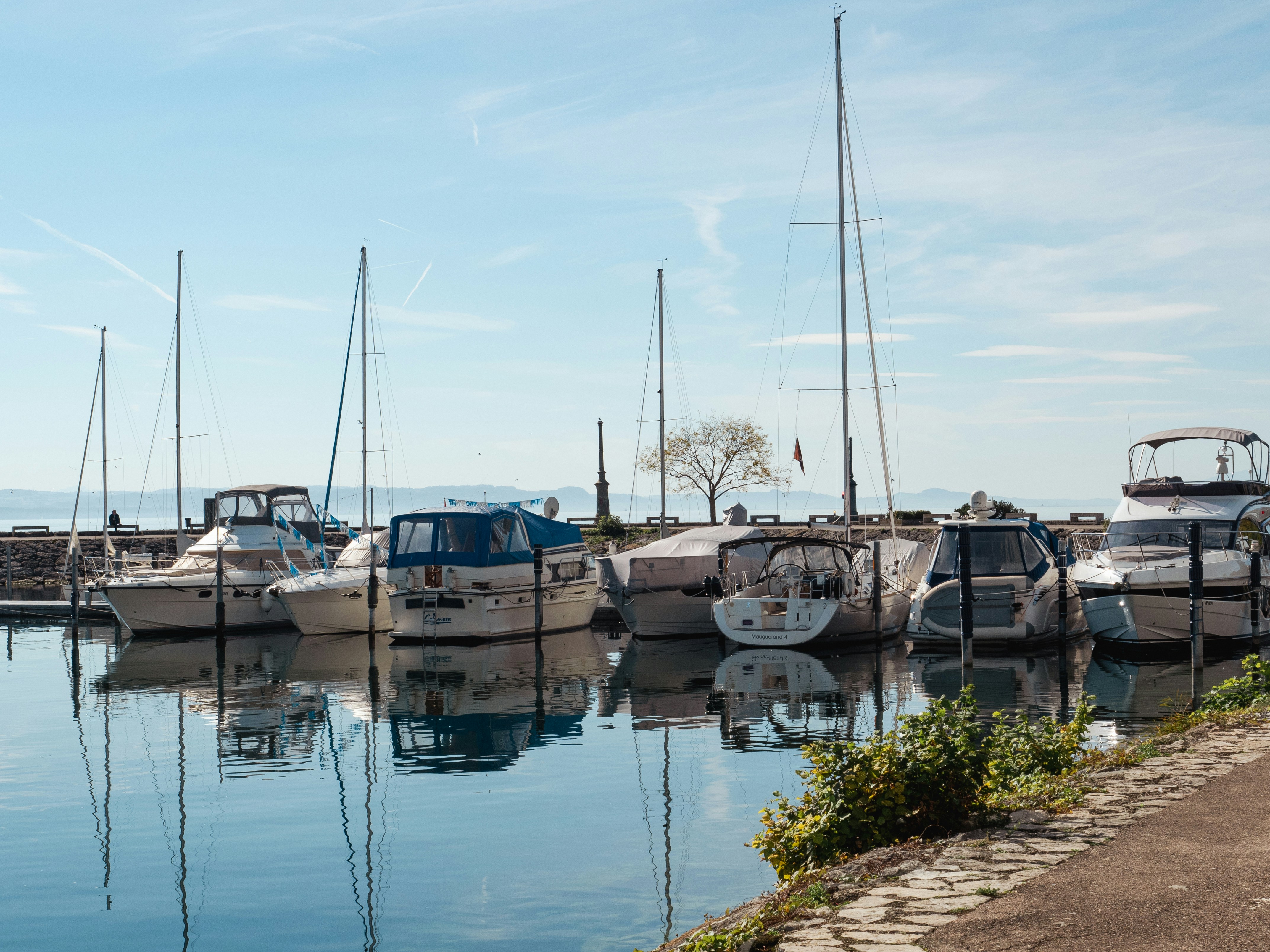 Photo by noah_dustin