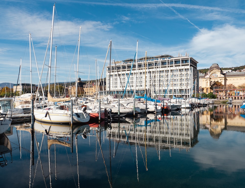 a marina full of boats