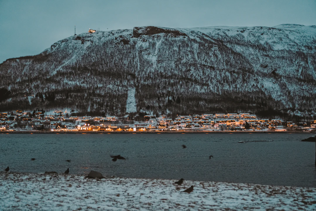 13-Day Norway Family Itinerary: Fjord & City Guide