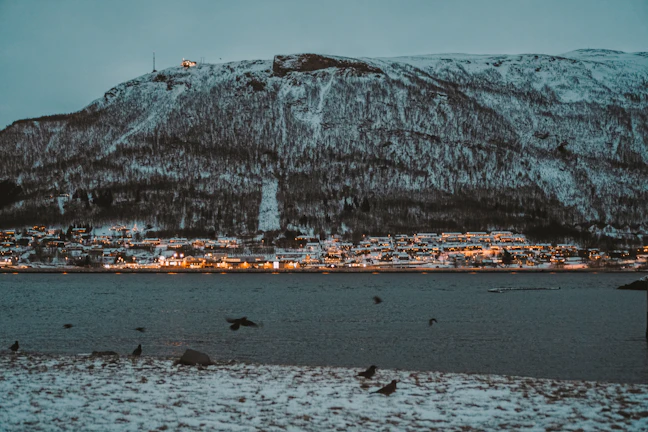 13-Day Norway Family Itinerary: Fjord & City Guide