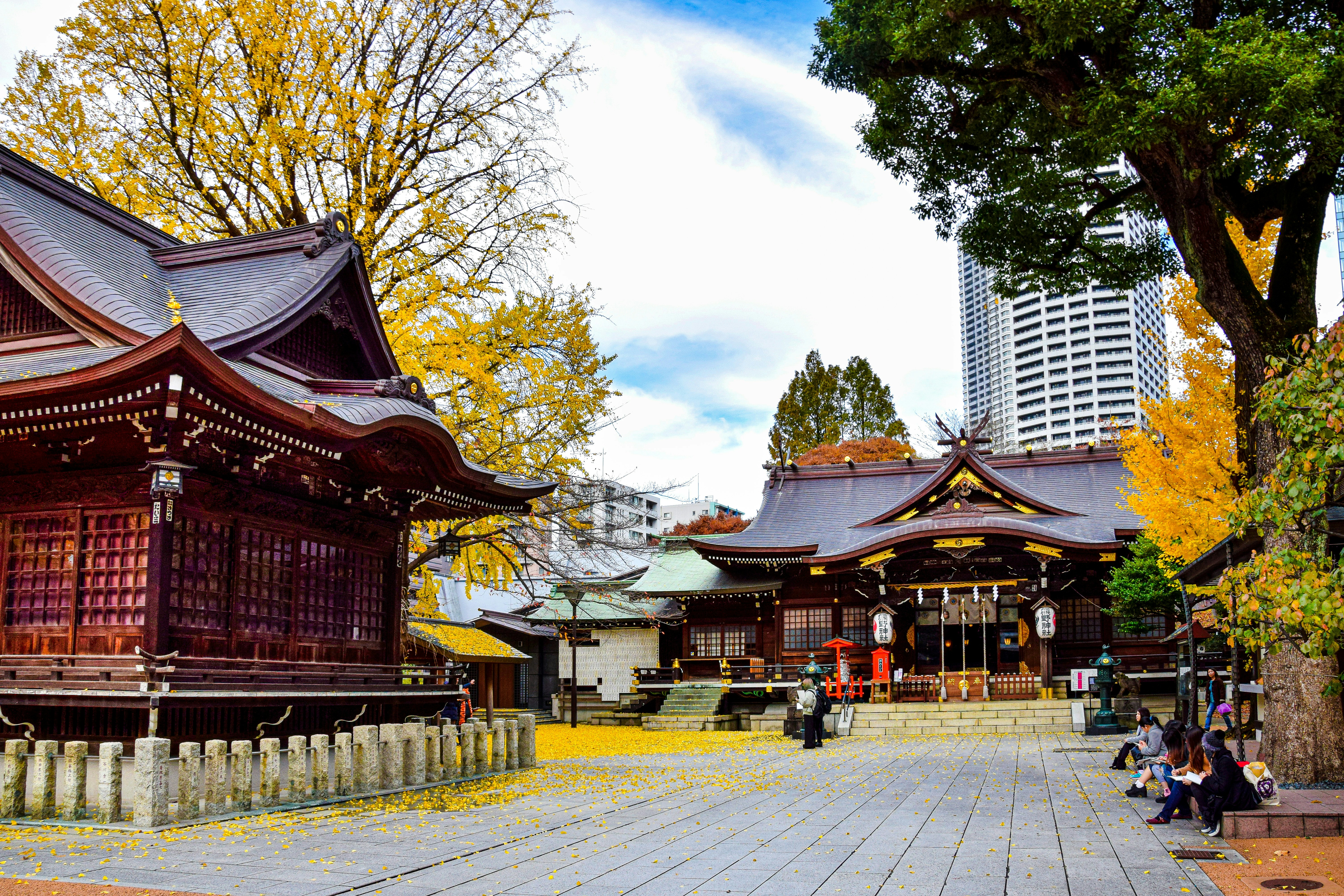 Todo lo que necesitas saber sobre el Santuario Meiji en Tokio