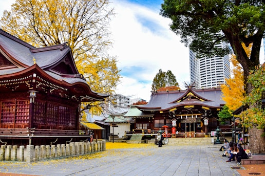 A traditional Japanese shrine with ornate wooden architecture is surrounded by lush trees with golden autumn leaves. In the foreground, there are a few people sitting and walking, and a high-rise building is visible in the background, contrasting the historic and modern elements.